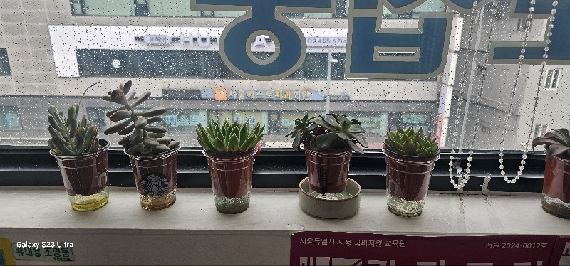 /user/g/gjdream/editor/2507/66586672674394326ddee8e178ec21c8_1752922295_8099.jpg 이미지크게보기